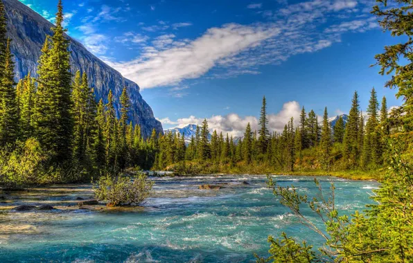 Trees, mountains, nature, river, Canada, Mount Robson Provincial Park