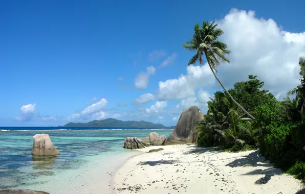 Picture sea, beach, palm trees, island