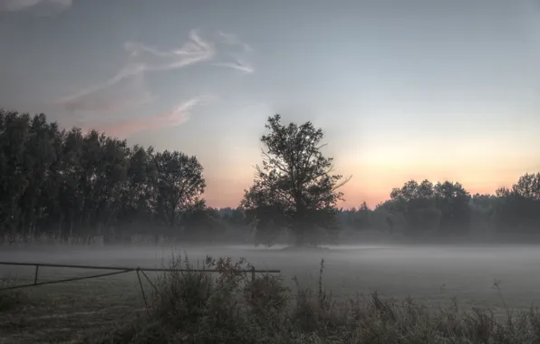 Picture field, fog, Nature, morning, field, nature, morning, fog