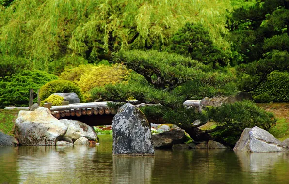 Picture water, Park, the bridge