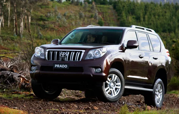 Auto, Japan, Machine, Australia, Wallpaper, Jeep, Japan, Toyota