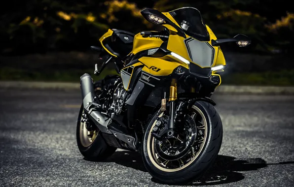 Picture Black, Grey, Yellow, YZF-R1
