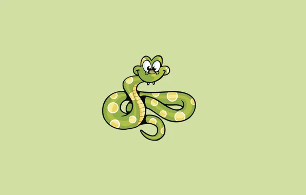 Snake, minimalism, light background, snake