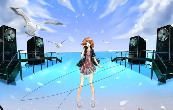 Picture sea, the sky, water, girl, clouds, seagulls, anime, headphones