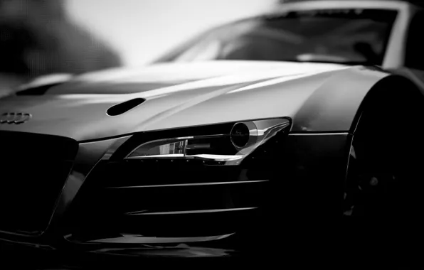 Audi, white, focus, bumper, black