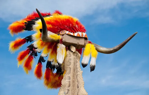 Picture the sky, feathers, horns, headdress