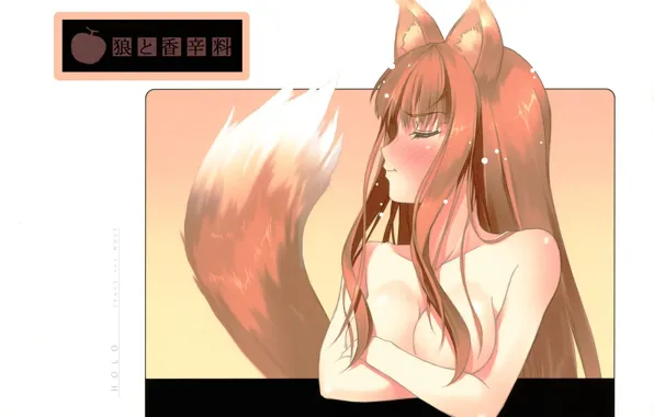 Tail, blush, ears, closed eyes, embarrassment, Spice and Wolf, Holo, Spice and wolf