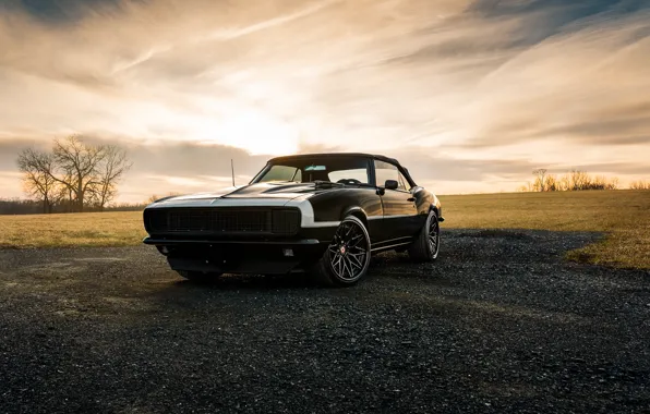 Nature, design, style, black, camaro, chevrolet