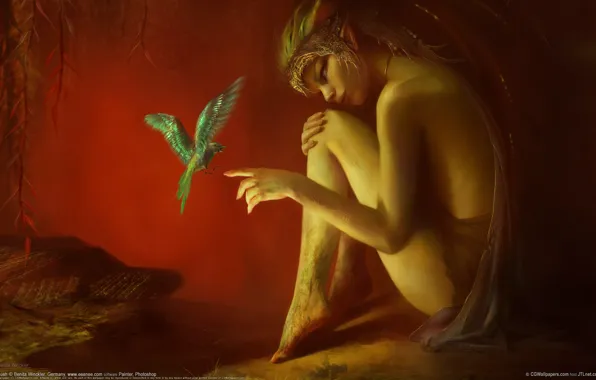 Girl, red, bird, elf