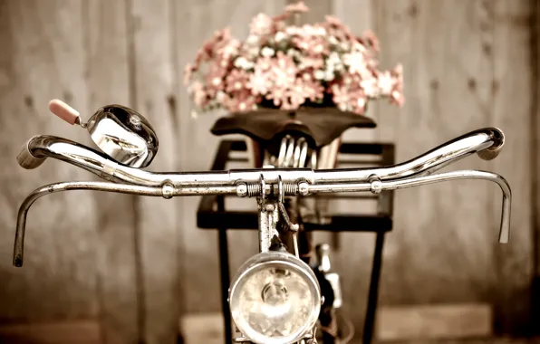 Picture flowers, bike, retro, bouquet, flowers, floral