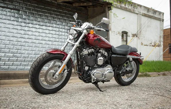 Picture Bike, Motorcycle, Red., Harley-Davidson Sportster 1200 Custom