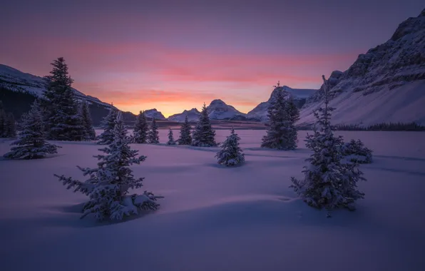 Picture winter, forest, the sky, snow, trees, mountains, dawn, valley