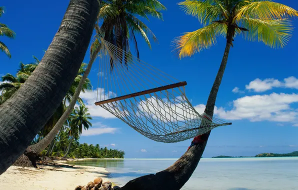 Picture palm trees, relax, hammock, Laguna