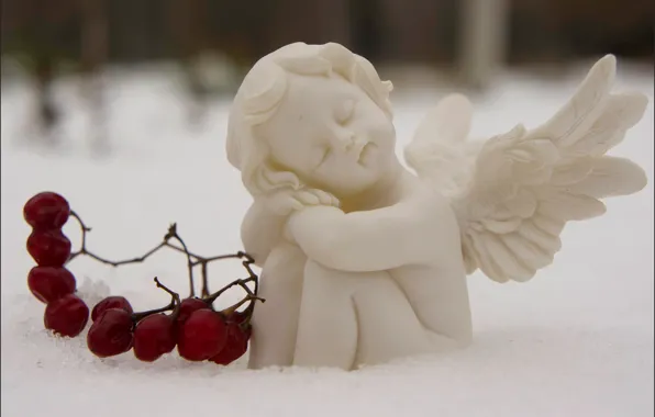 Picture snow, berries, sleep, angel, Moscow, Lefortovo Park
