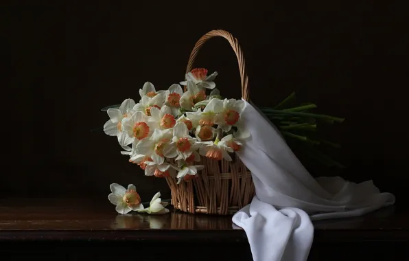 Picture white, basket, daffodils, the dark background