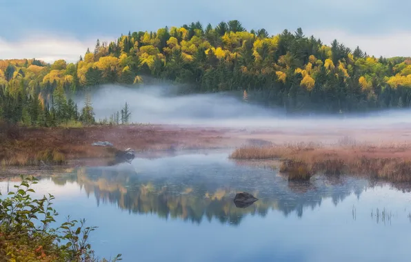 Autumn, forest, mountains, fog, lake, reflection, shore, haze
