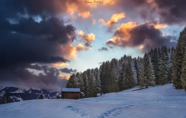 Winter, forest, the sky, clouds, snow, mountains, Alps, house