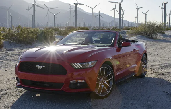 Mustang, Ford, Mustang, Ford, Convertible, 2014