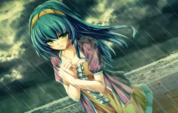 Picture the sky, water, girl, rain, anime, touhou