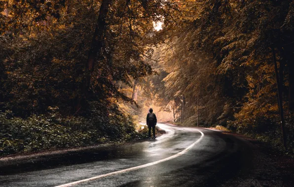 Picture road, autumn, people