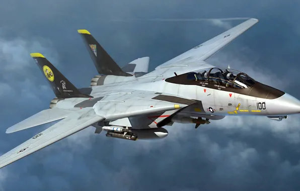 Figure, art, Grumman Aircraft Engineering Corporation, US NAVY, Super Tomcat, F-14D, Carrier-based fighter, double jet …