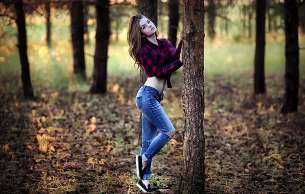 Picture Girl, Wood, Autumn, Pose, Sight