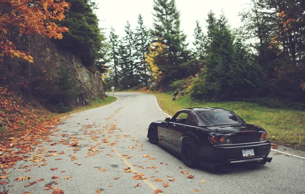 Road, autumn, leaves, trees, Honda, S2000