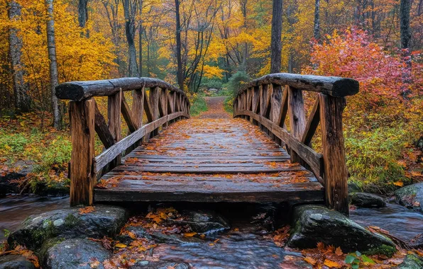 Autumn, forest, water, trees, bridge, Park, stream, stones