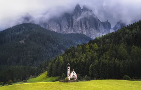 Forest, mountains, Alps, Italy, Church, meadows