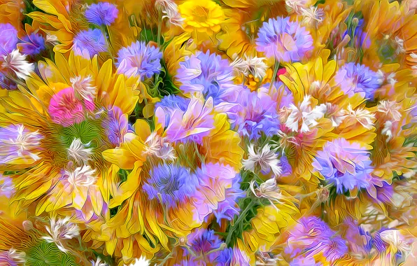 Flowers, nature, petals, meadow, flowerbed