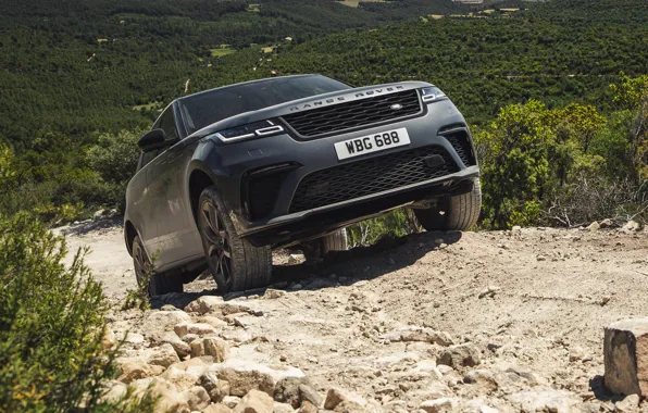 Stones, vegetation, Land Rover, Range Rover, SUV, V8, Velar, 2019