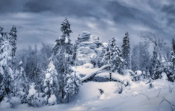 Winter, forest, snow, trees, rock, the snow, Russia, monochrome