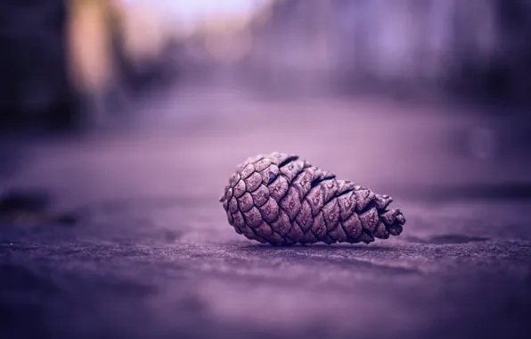 Picture macro, bumps, bokeh