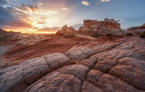 Rocks, desert, canyons