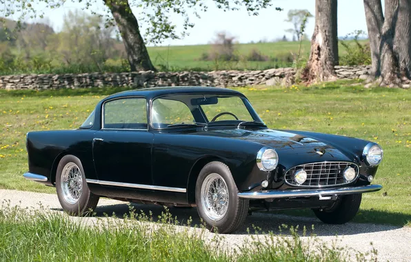 Grass, trees, coupe, Ferrari, Ferrari, classics, beautiful car, 250 GT