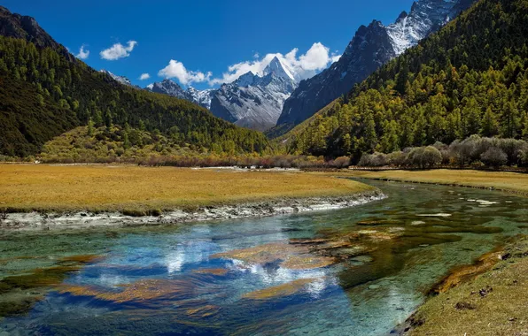 Forest, the sky, clouds, mountains, river