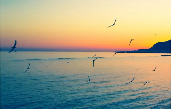 Landscape, nature, mood