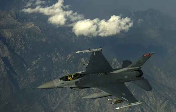Fighter, flight, Fighting Falcon, F-16C, "Fighting Falcon"