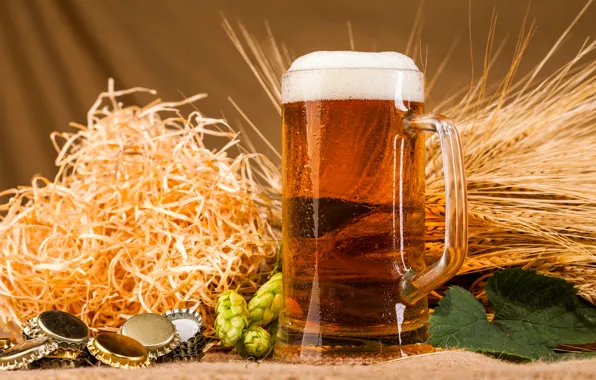Foam, beer, mug, tube, ears, hops