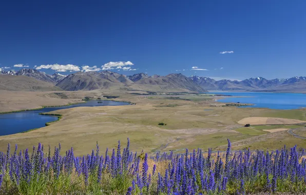 Field, summer, the sky, clouds, flowers, mountains, river, blue