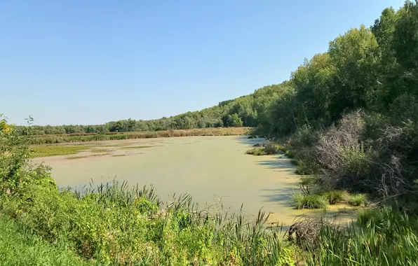 The sky, lake, Tina, the bushes