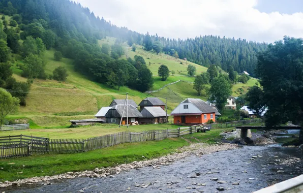 Forest, nature, River, Portugal, home