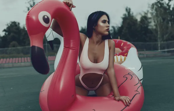 Chest, girl, pose, round, Flamingo, Belavin, Alexander Belavin, Anastasiya Anikina