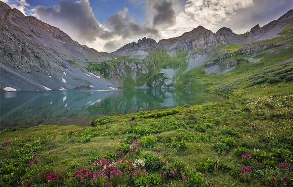 Flowers, mountains, nature, lake, reflection