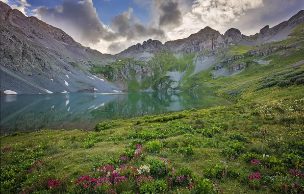 Picture flowers, mountains, nature, lake, reflection