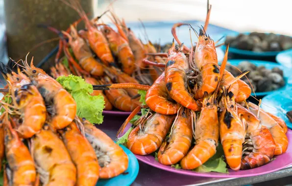 Shrimp, seafood, shrimp, seafood