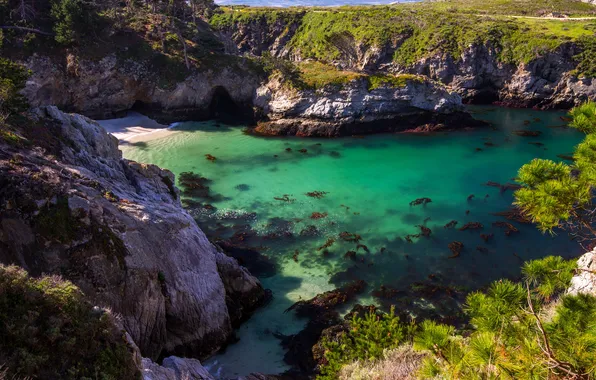 Sea, stones, rocks, coast, Bay, CA, USA, Point Lobos State Park