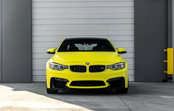 Picture BMW, Front, Yellow, F82, Sight