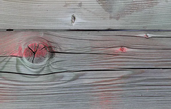 Picture trees, Board, texture