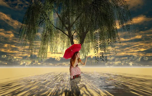 Tree, umbrella, art, girl, weeping willow